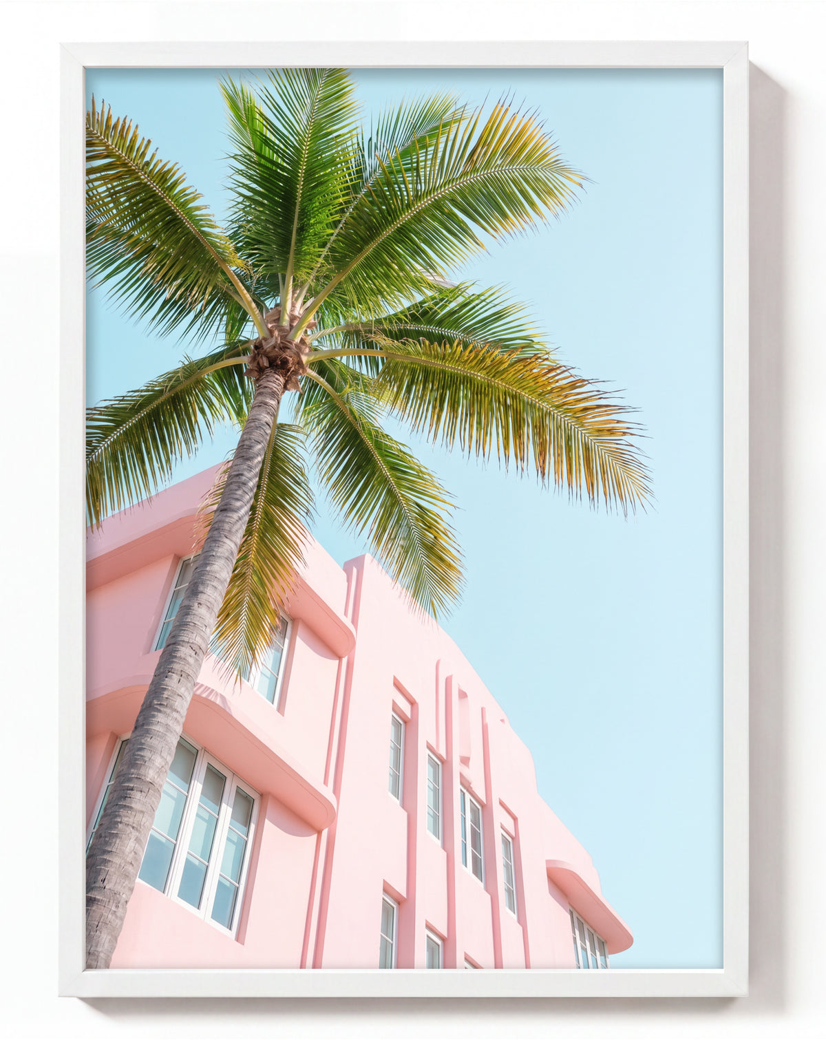 Pink Building With Palms