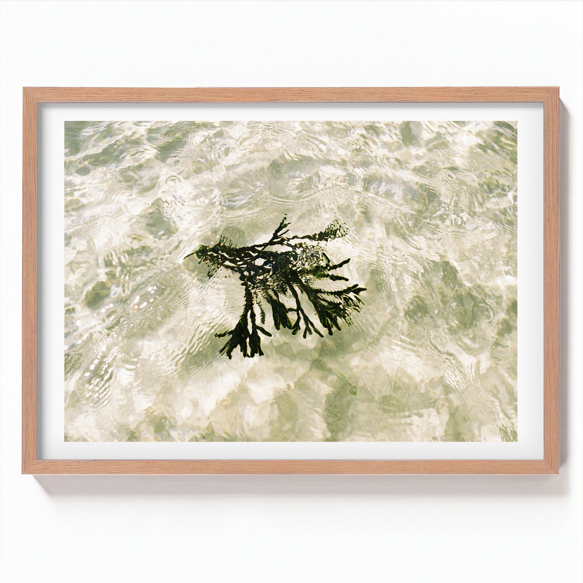 Seagrass