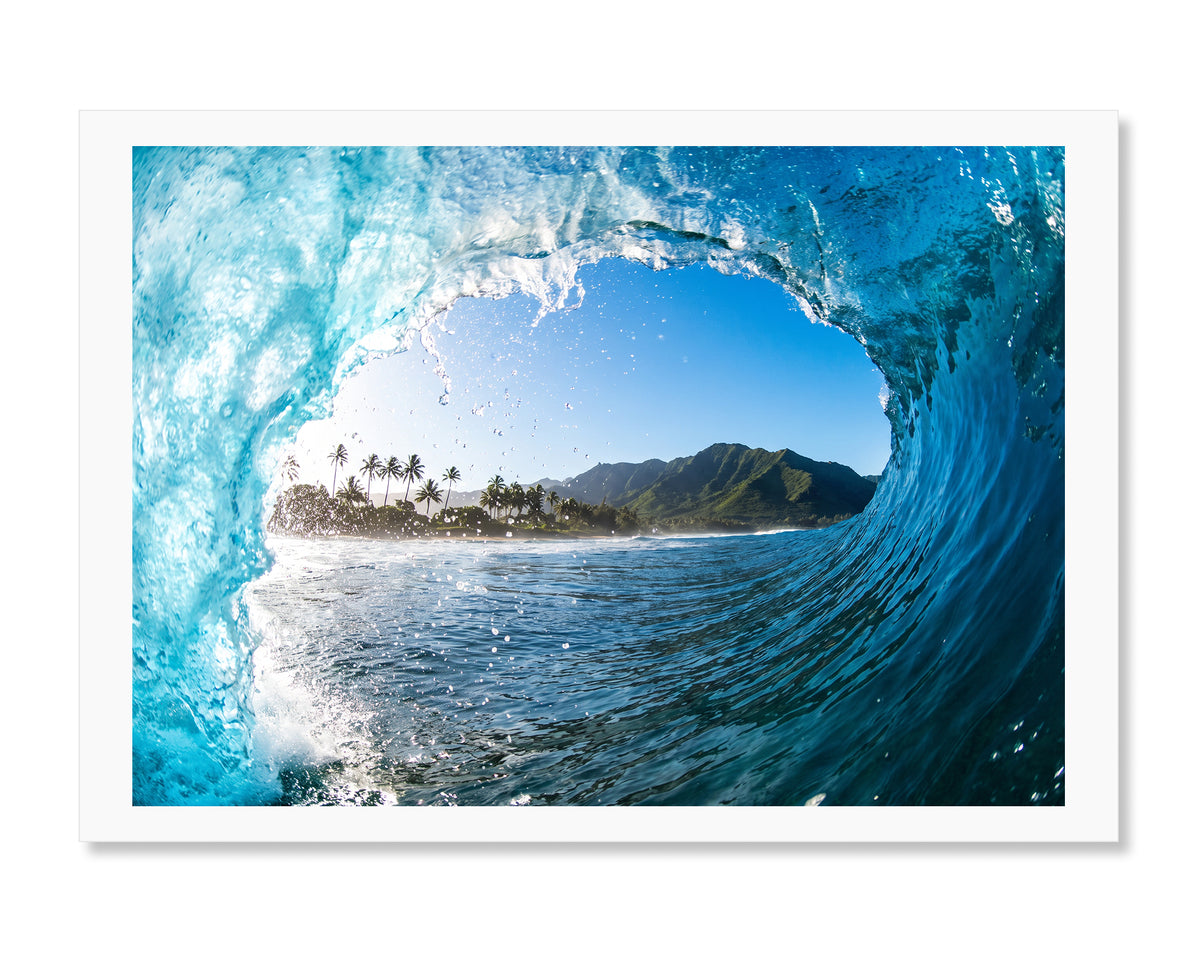 Hawaiian Barrel