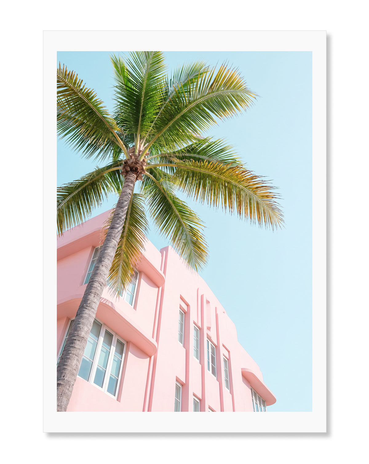 Pink Building With Palms