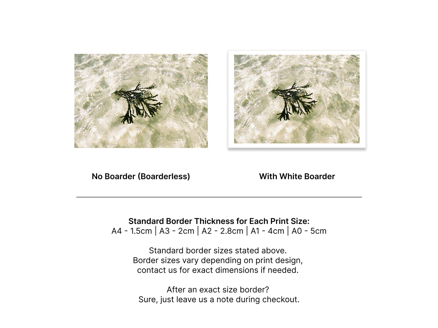 Seagrass