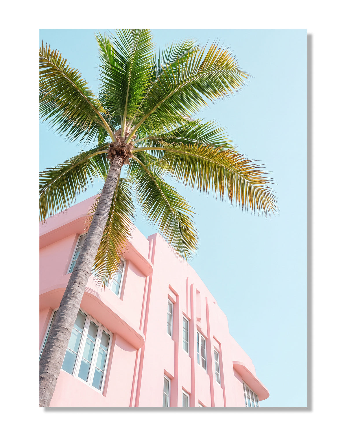 Pink Building With Palms