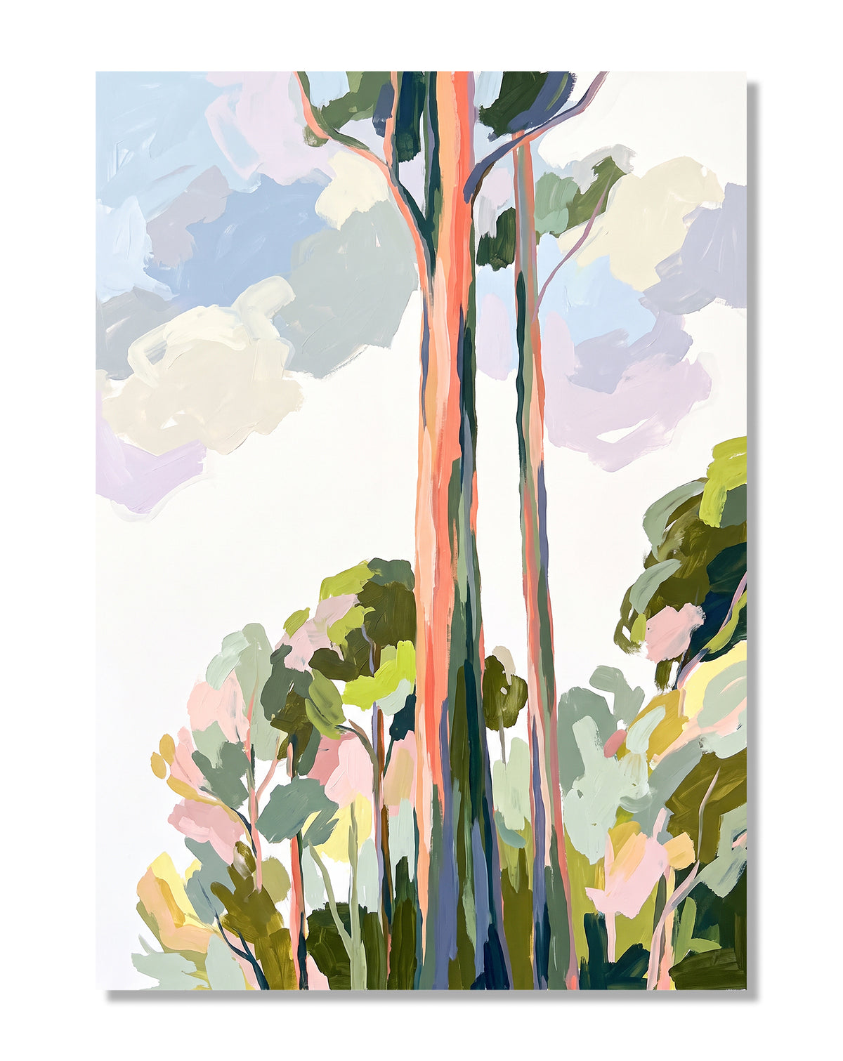Gum Trees
