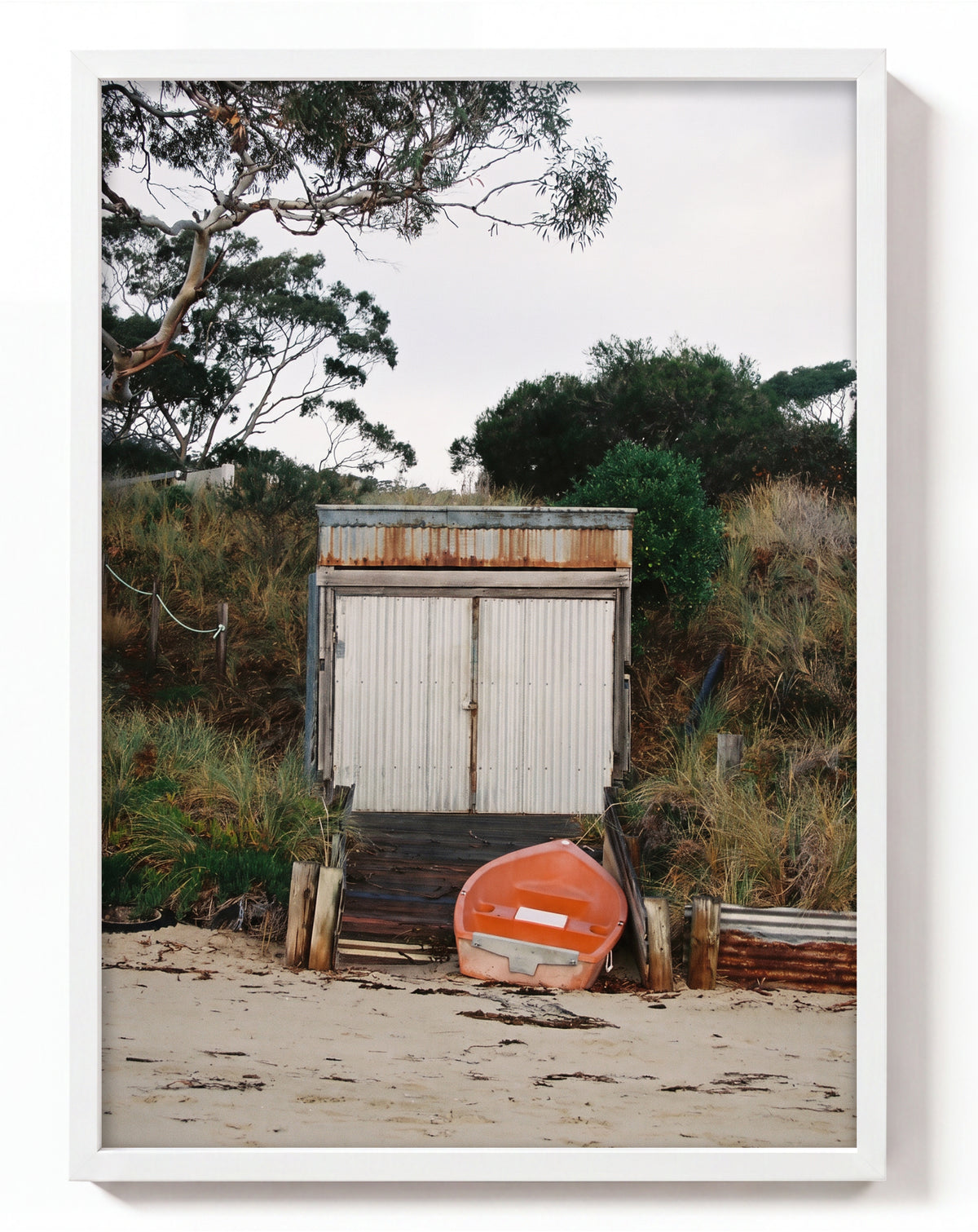 Boat Shed
