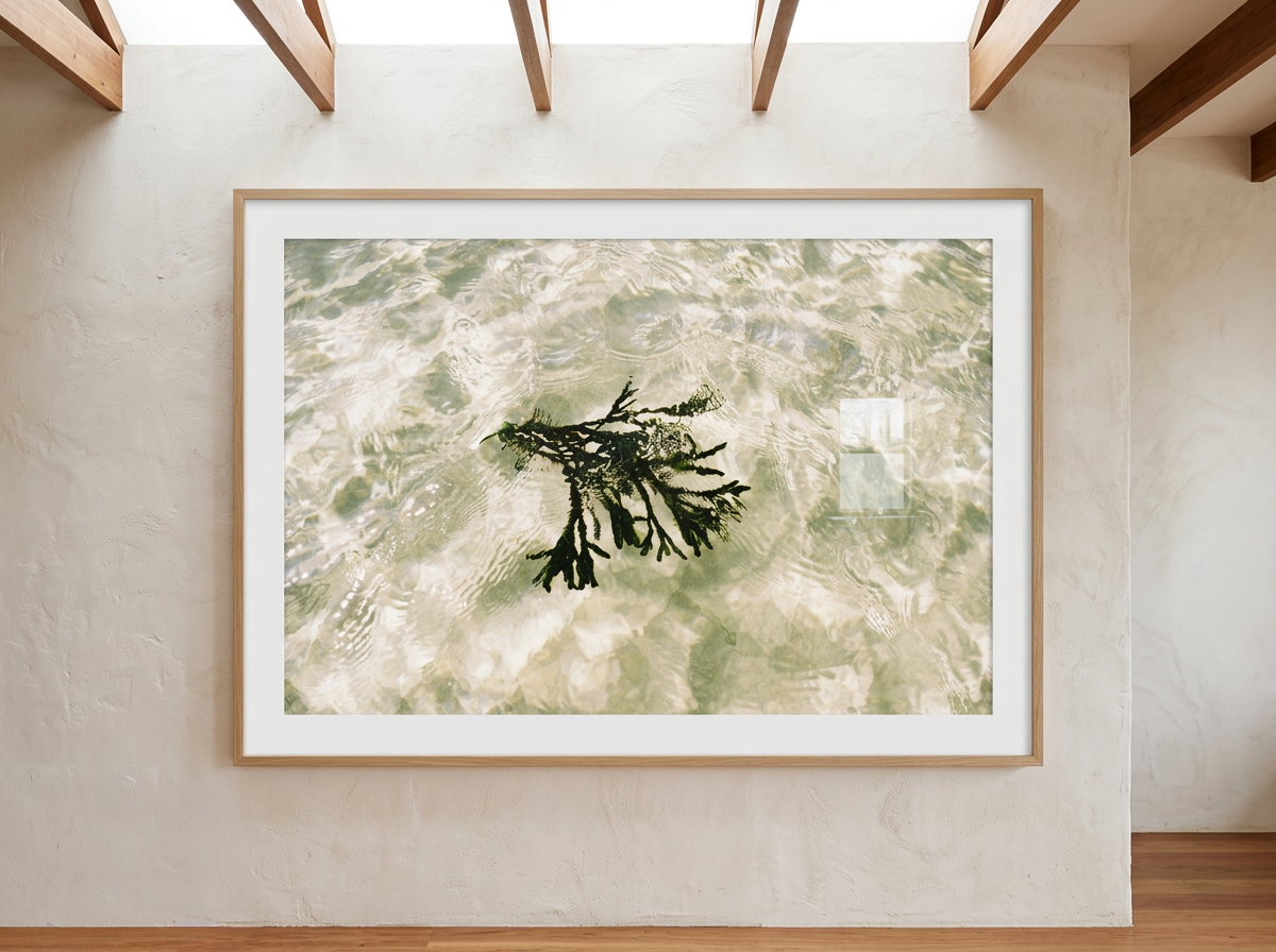 Seagrass