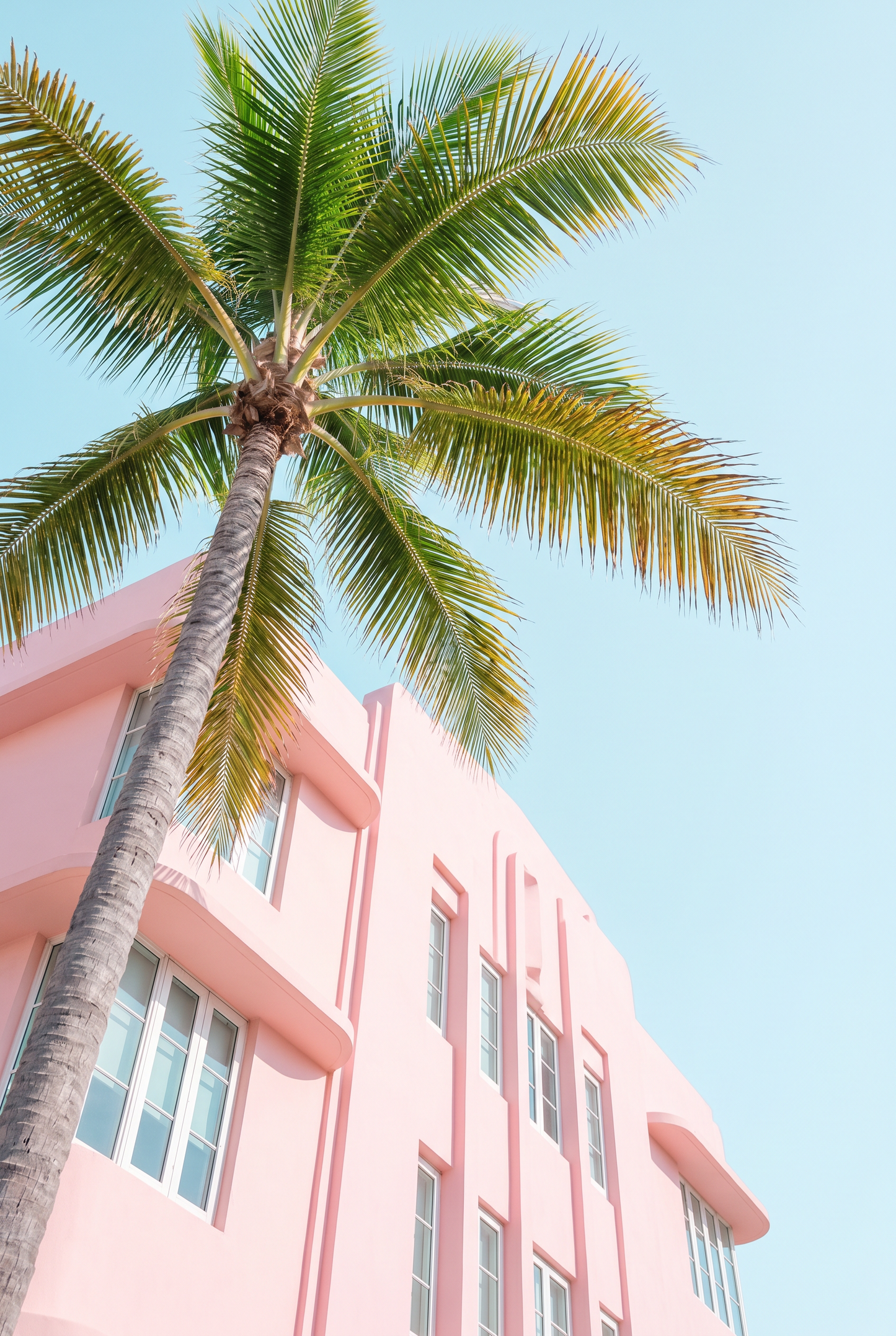 Pink Building With Palms