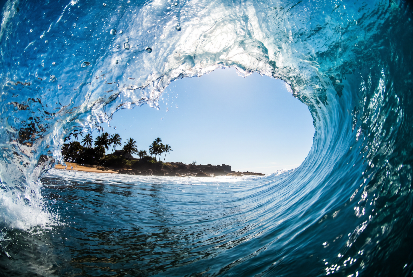 Hawaiian Barrel No.1
