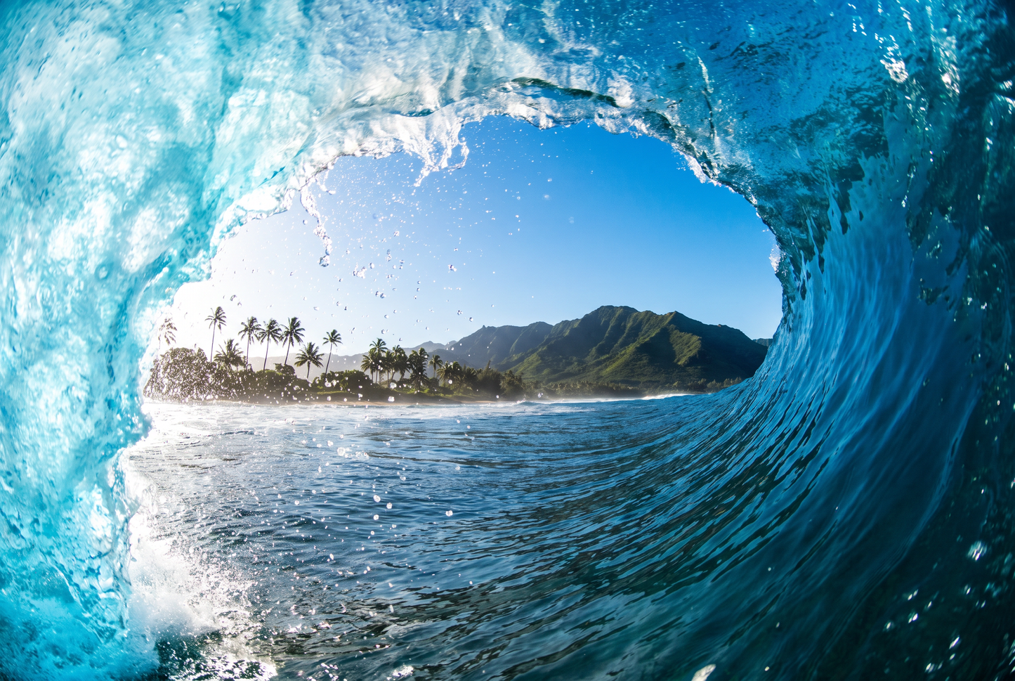 Hawaiian Barrel No.2